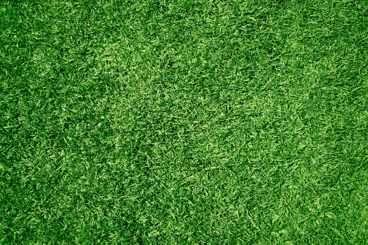 Turf Installation